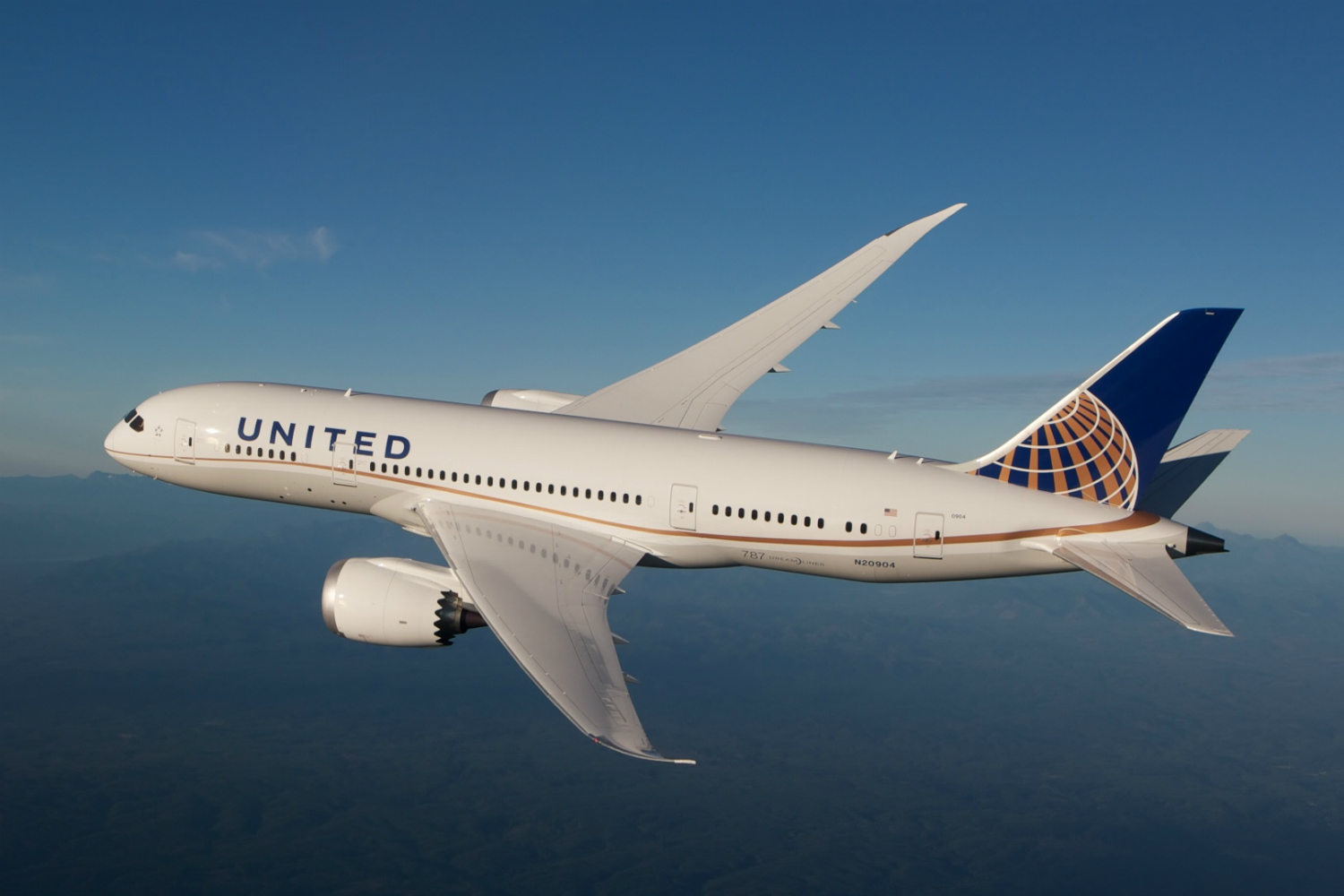 United Dreamliner.jpg