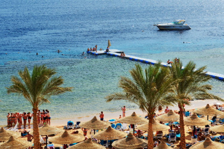 Pressure grows on government to lift Sharm el Sheikh flight ban