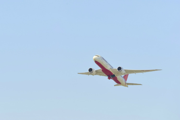 Air India firms up huge aircraft order as part of $70bn fleet overhaul