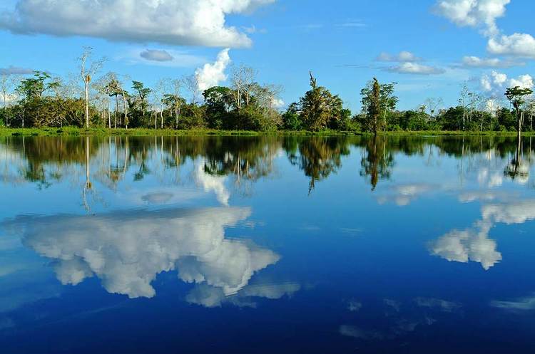 Seven still missing in Aqua Amazon explosion