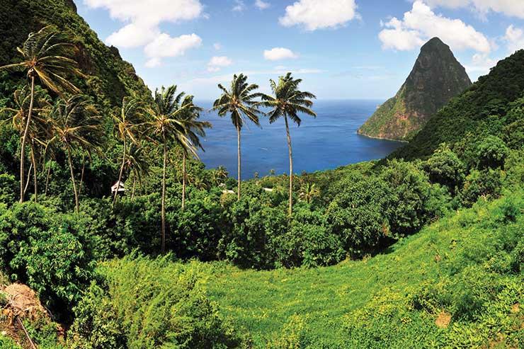 Saint Lucia drops all Covid entry requirements