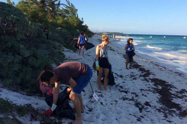 Beach clean