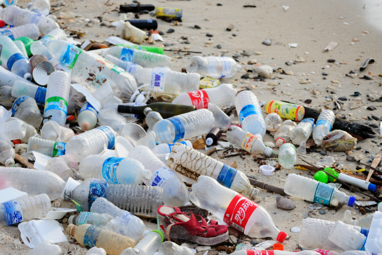 MSC backs maritime sector drive to ditch non-essential plastics