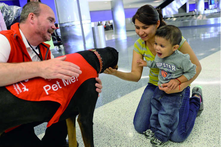 How therapy dogs are bringing joy to passengers at LAX Airport