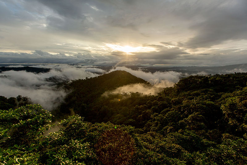 Metropolitan Touring goes carbon neutral