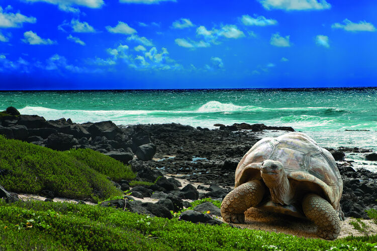 Silversea hires expert team for Galapagos cruise