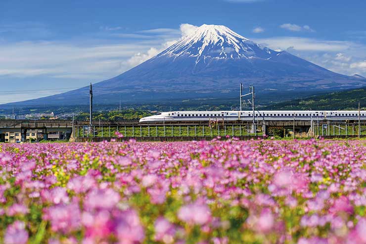 InsideJapan: 'Japan was niche; now it's on everyone's bucket list'