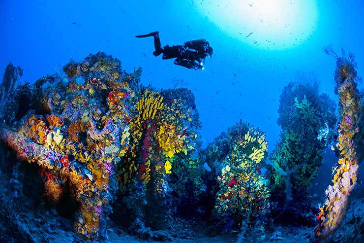 7 reasons why Malta is one of the best diving destinations