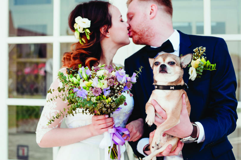 Dog-friendly weddings: Fur better or fur worse