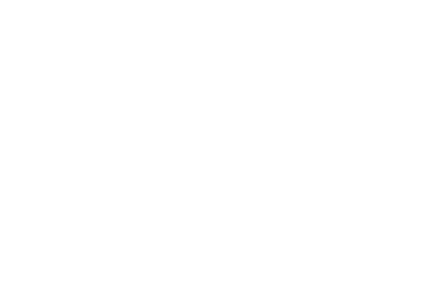 Vienna agent training