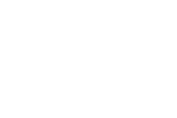 Diversity & Inclusion Partner: Visit Tampa Bay