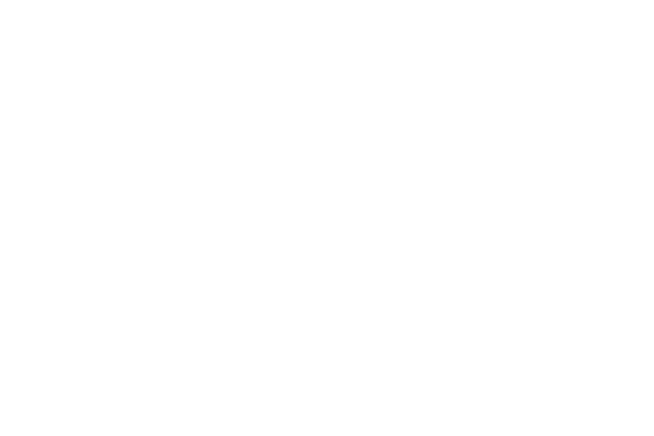 Travelzoo