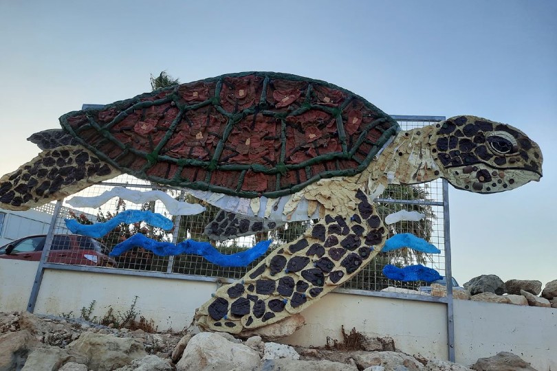 Plastic-free beach opened in Cyprus