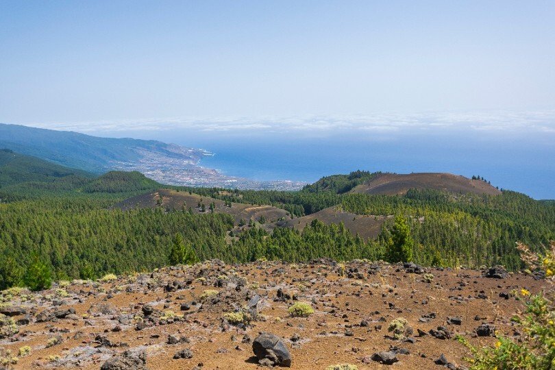 La Palma: thousands evacuated following Canary Islands wildfire
