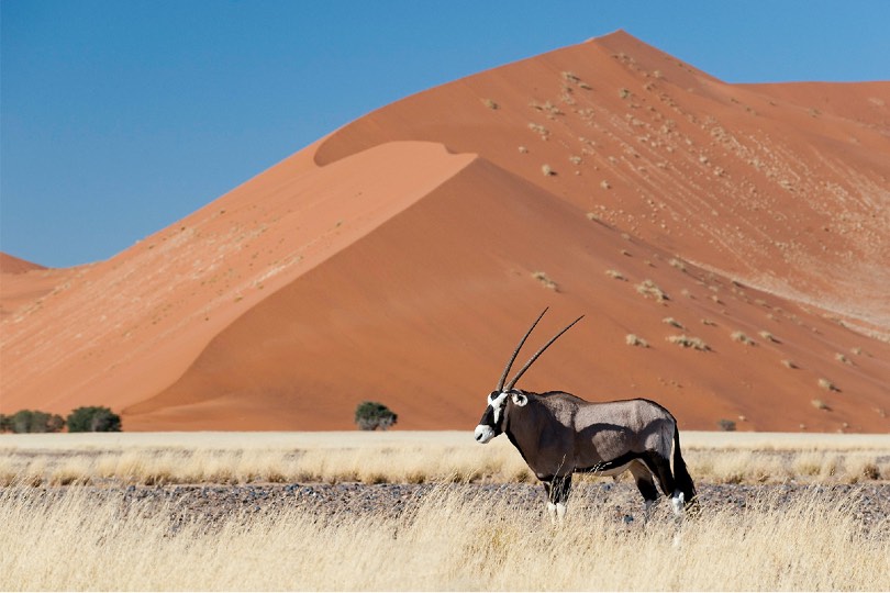 VistaJet's range of recommended Private World trips include an adventure in Namibia 