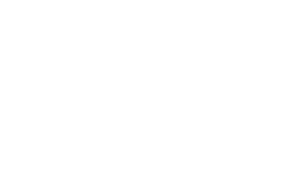 Princess 