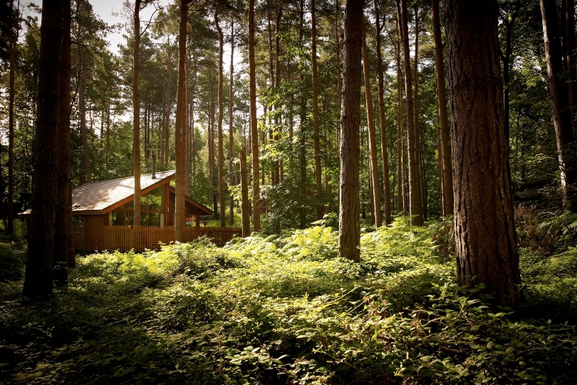 Sykes Holiday Cottages acquires Forest Holidays