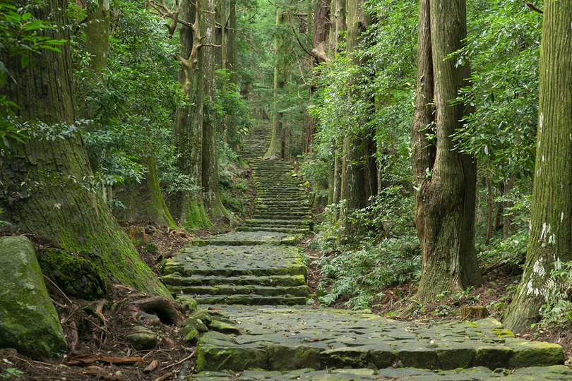 Walking Japan's Kumano Kodo trail