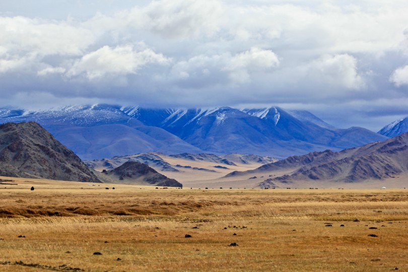 The Climate Investment Fund will support a project that helps restore degraded grasslands in rural Mongolia (Credit: Bolatbek Gabiden/Unsplash)