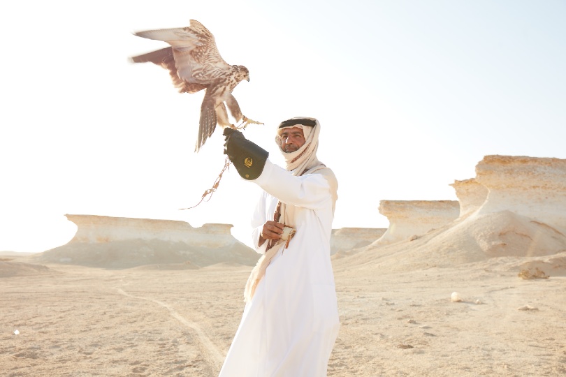 Découvrez comment les faucons jouent un rôle majeur dans le patrimoine sportif du Qatar