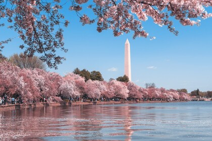 Nine reasons to sell more Washington DC