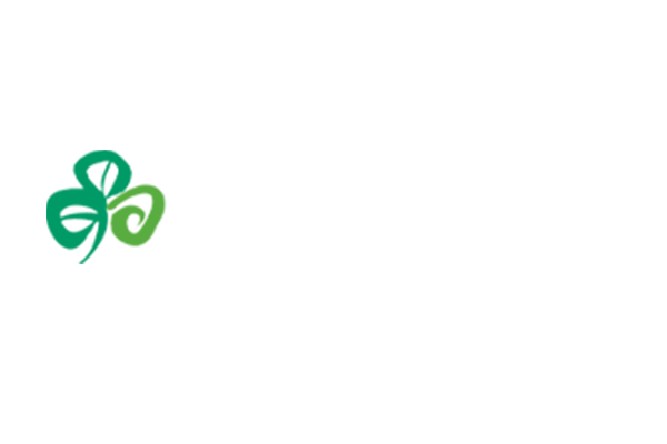 Tourism Ireland Hub