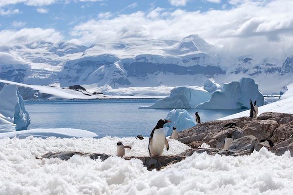 APT expands expedition programme with Antarctica cruise
