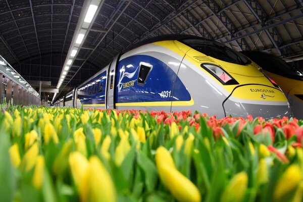 Eurostar poised to suspend London-Amsterdam service for almost a year