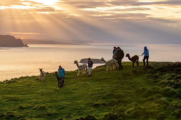 10 ways to experience the great outdoors on the island of Ireland