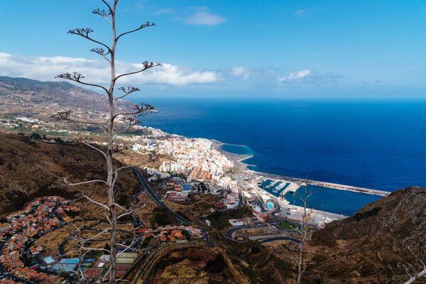 Tenerife praises tourists’ conduct amid once-in-a-generation wildfires