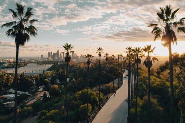 Los Angeles sees surge in UK and Irish visitors as post-Covid rebound continues