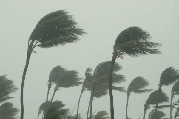 Hurricane Idalia: deadly storm surge batters US east coast