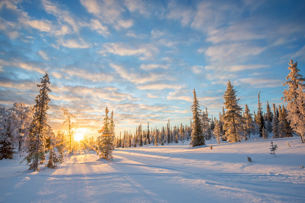 Inghams puts 2025/26 Lapland programme on sale to agents