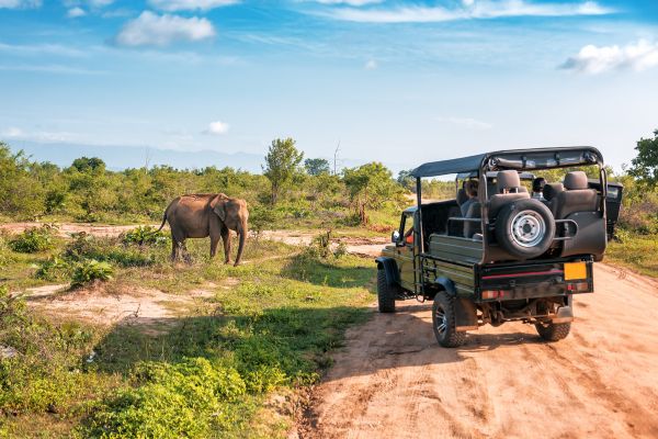 Why Sri Lanka is the next big safari destination agents need to know about