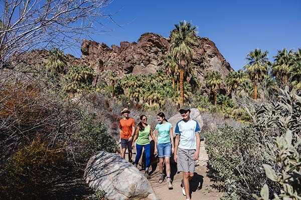 Visit Greater Palm Springs: 'It’s the perfect time to book’