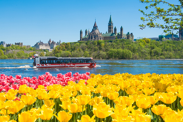 The colourful Canadian event that can rival Keukenhof for beauty