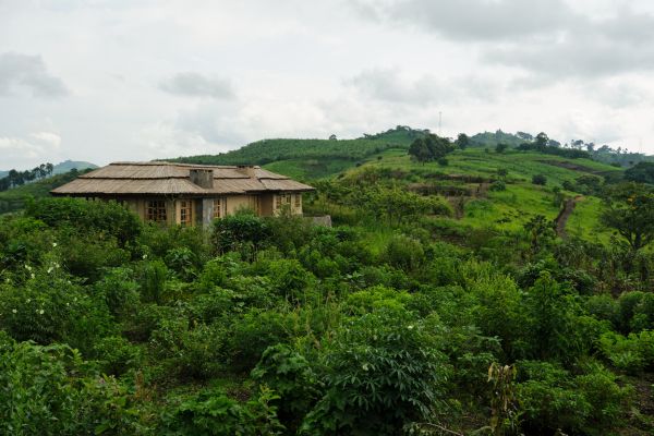 Volcanoes Safaris to open Kibale Lodge in Uganda