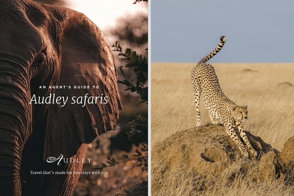 Audley Travel launches first 'Agent&#39;s Guide to Safaris'