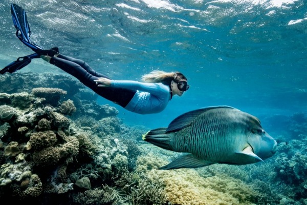 World-first educational initiative for the Great Barrier Reef