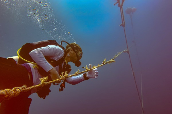 Nova Maldives introduces enhancements to its Coral Nursery