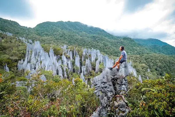 Adventures, orangutans and cultural experiences: how to sell Sarawak