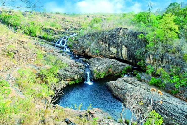 Brazilian Cerrado is one of Nat Geo&#39;s top destinations for 2025