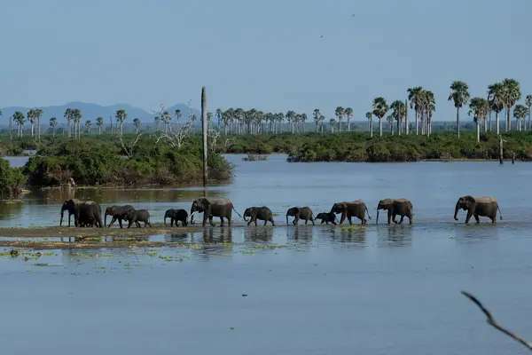 The lesser-known area of Tanzania that will gift your clients their own private game drives