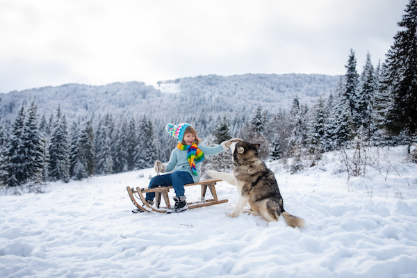 Newmarket Holidays unwraps Lapland tours for Christmas 2025