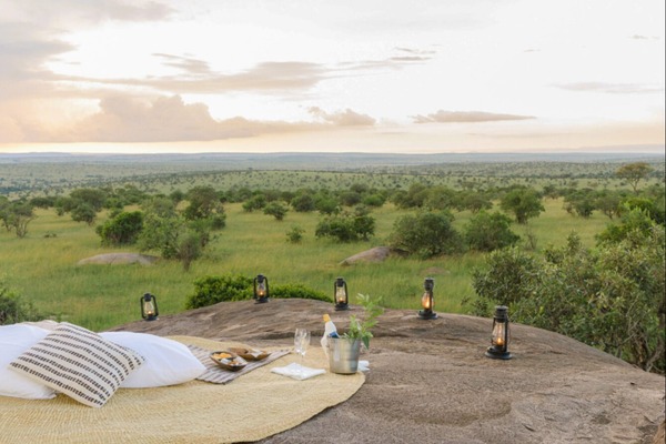 Safari Sundowners, Lion King-style with Bushtops