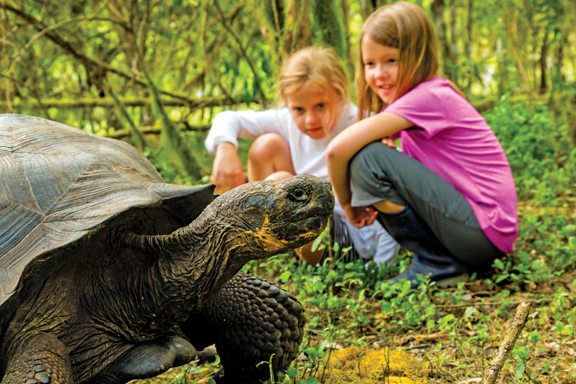 Two additional Galápagos ships and an unrivalled heritage: introducing National Geographic-Lindblad Expeditions