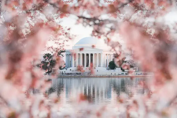 Win a pair of return flights to Washington, DC