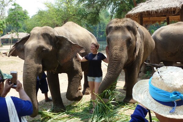 Five pledges agents can make right now to promote better animal welfare in travel