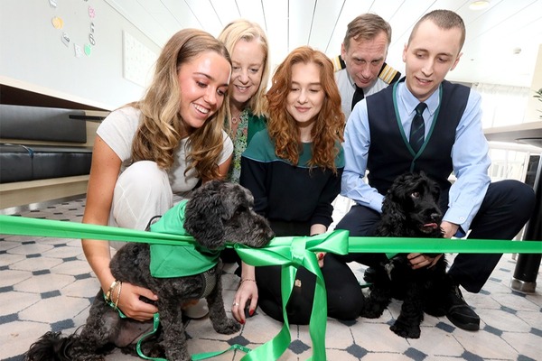 Irish Ferries launches brand new pet den lounges