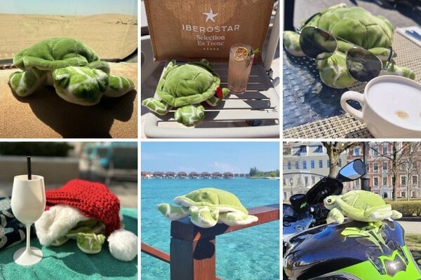 The agency using toy turtles to continue their late colleague’s travel dreams